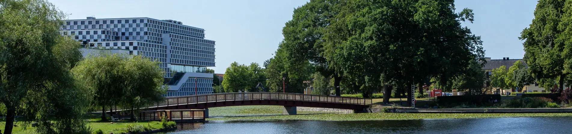 En panoramabild av en urban parkmiljö med en bred flod i förgrunden och en träbro som korsar den. På andra sidan floden finns gröna träd och en stor modern byggnad med många fönster som dominerar bakgrunden. Bilden fångar en harmonisk samexistens mellan naturliga och urbaniserade element under en klarblå himmel.
